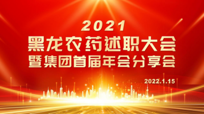 黑龍農藥召開(kāi)2021年度述職大會(huì )暨集團首屆年會(huì )分享會(huì )